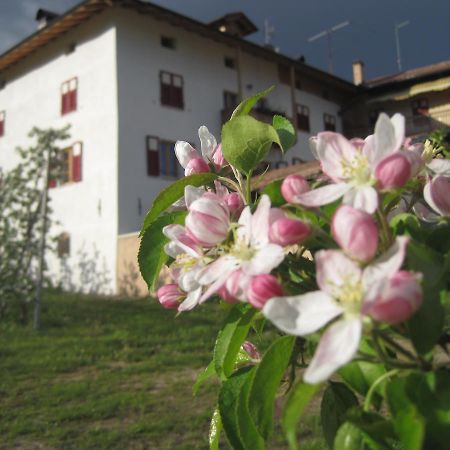 Agritur Maso San Bartolomeo Βίλα Romeno Εξωτερικό φωτογραφία