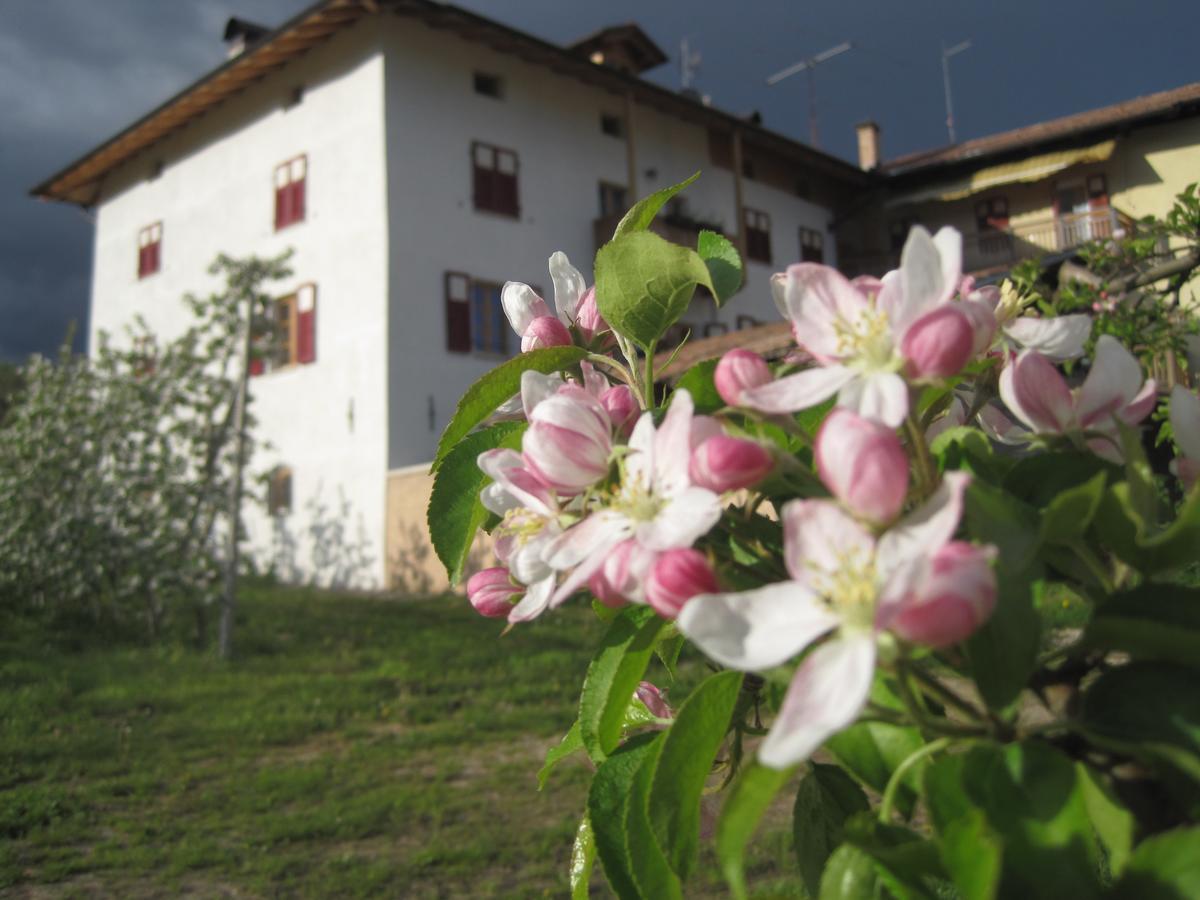 Agritur Maso San Bartolomeo Βίλα Romeno Εξωτερικό φωτογραφία